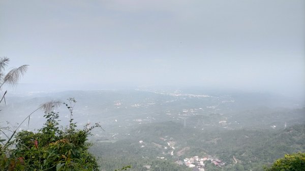 阿拔泉山/觀音石山/紅楠坑山/龜山/大巃頂西北峰/大巃頂/竹松梅步道/獨立山 環狀1718301