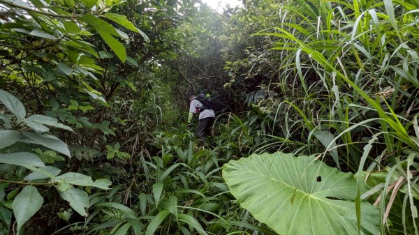 114.06.08門牙岩之O型2806616