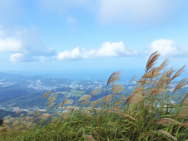 步道小旅行-賞芒聖地五分山3869