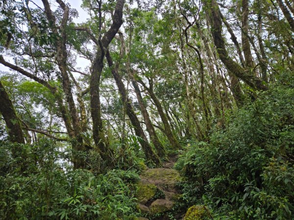 都蘭山（小百岳）2974192