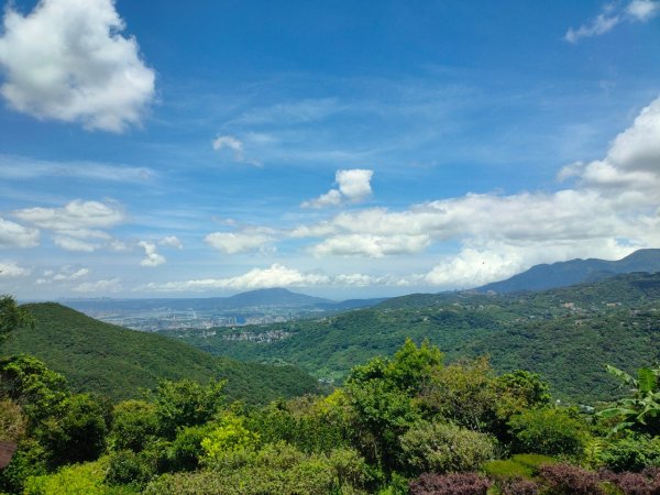 2023/6/26（ 小百岳）：［大崙頭山］+［鯉魚山］2202358