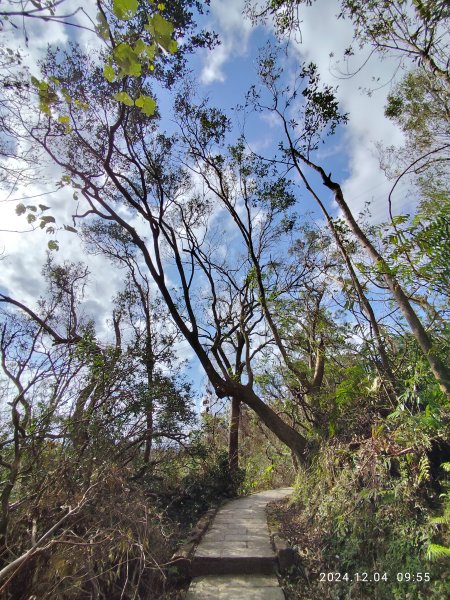 【臺北大縱走 6】中華科大→九五峰→南港山→拇指山→妙高臺→糶米古道→忠正嶺安祿宮→世界山莊→軍功山2662740