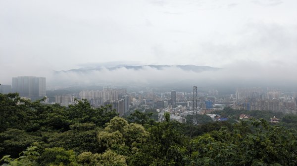 霧染大尖3074587