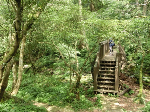 興福寮．向天池．向天山．面天山95207