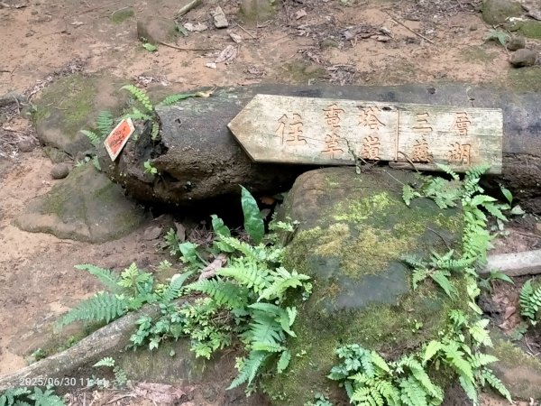 白石湖+打鐵寮古道2824175