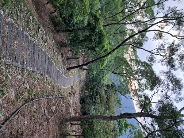 高雄北柴山，田寮月世界，大崗山，小崗山，龍頭山步道3122610