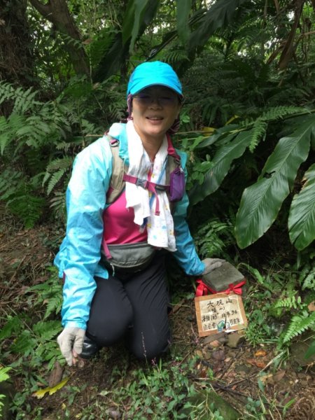 北縱七段抓了10隻博蒂742211