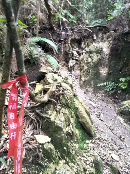 舊小百岳:水社大山1424368