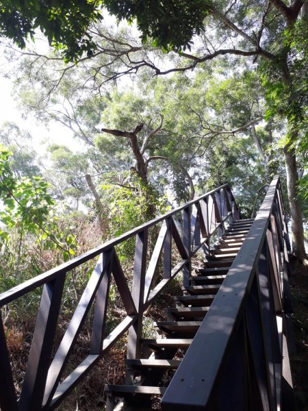 台中大坑步道7上6下20181027444579