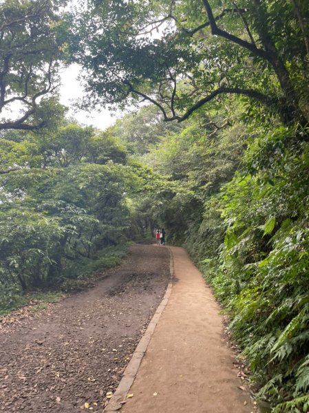 台北｜北投．士林 臺北大縱走第一段1487823