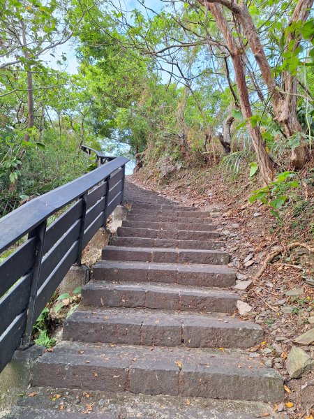 蘇澳七星嶺步道O型(東進西出)202408112572466