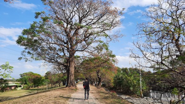 《彰化》堤岸漫步｜大肚溪棒壘場202301141995050
