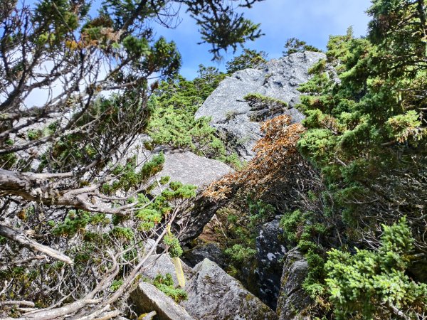 北一段(09/14)南湖東南峰 2025_0906~132887061