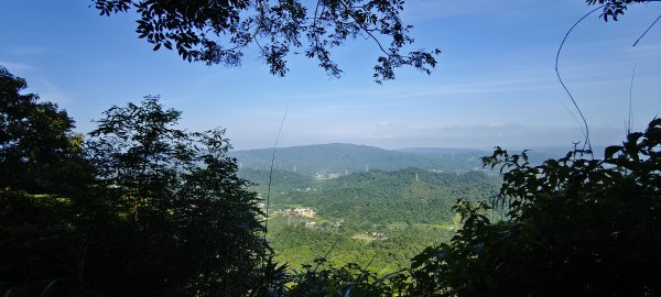 2025/08/09_赤柯山+東獅頭山步道2856293