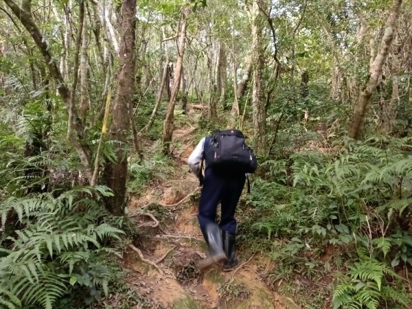 頭城鎮圓通寺+鴻子山東北峰+鴻子山+後湖子山林道+五峰旗山+840峰+水鴨池+水鴨崙+圓通寺O型2983775
