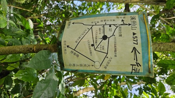 大溪大九芎步道上小百岳溪洲山(H577m)2844314