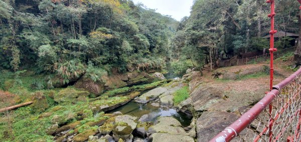 2023-01-01杉林溪青龍蕨類步道(青龍瀑布)、松瀧岩瀑布及天地眼步道1978856