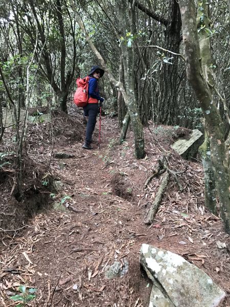 登橫嶺山環走自然步道118201