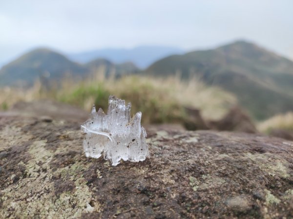 臺北市七星山2016524