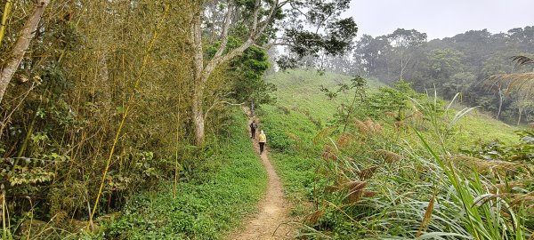 2024/12/14_關刀山步道O型2669316