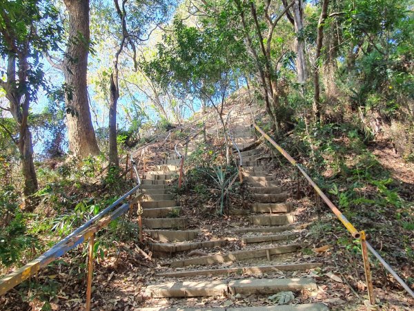 南觀音山步道（小百岳）1259905