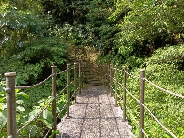 平溪區大華步道+幼坑古道+幼坑崙(大華車站-三貂嶺車站)2925177