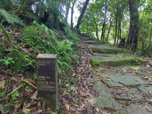 2025.04.27－金包里大路~小油坑縱走2771025