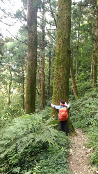 107.04.21 天德巷 → 拉卡山 → 三峽滿月圓 O型317858