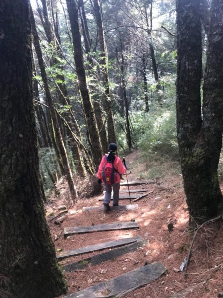 大雪山林道船型山鞍馬山537484