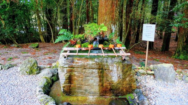 鹿兒島霧島神宮,神水峽3028254