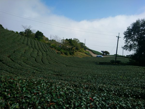 雲嘉五連峰(龍興宮起登)815202