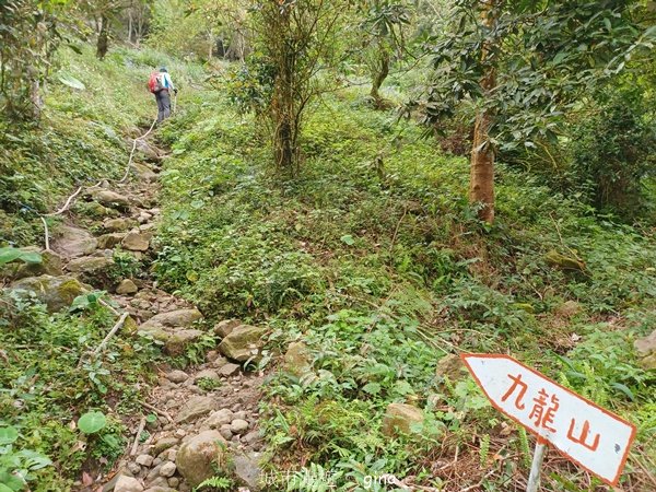 【台南白河】雞籠山+九龍山+大凍山O繞縱走2797141