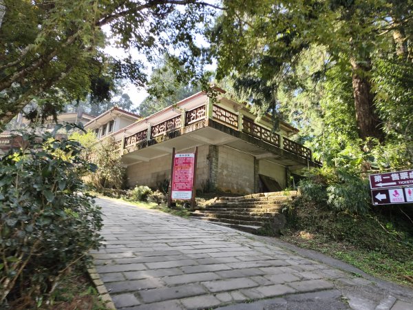 [百山百鳥尋旅-05/15] 2025_0830 溪頭賞鳥步道_賞鳥步道2875025