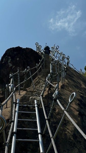 孝子山、普陀山、慈母峰賞鹿子野百合O走2592934