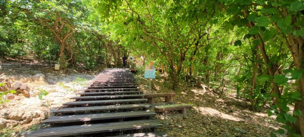 柴山登山步道1454339