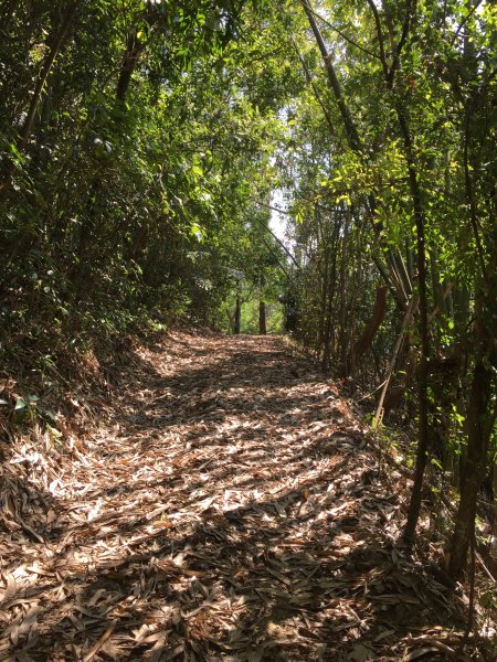 20220305高雄兔和山1633576