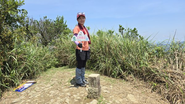 神級景點抺茶山，爬抹茶山的最佳季節，沿路桐花地毯，層層疊疊的山巒，壯闊的山谷2774474