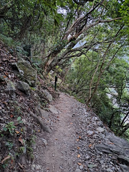 砂卡礑二日行D2：大同部落→千里眼山→砂卡礑步道→小錐麓步道→遊客中心202312032368742