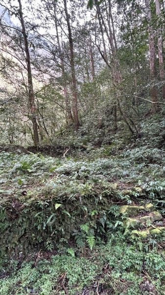 芃芃山西北稜大內台2693943