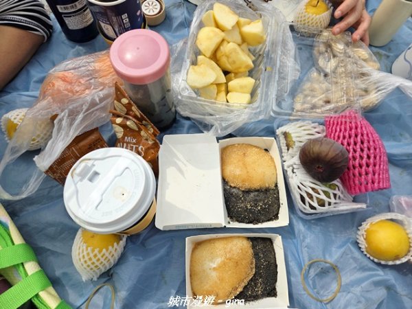 【彰化】員林藤山步道x田尾公路花園3016570