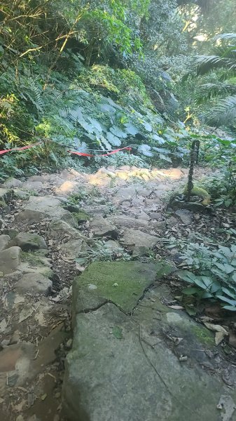 2026-0114溪州山小百岳2984875