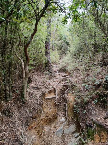 單攻志佳陽2725303