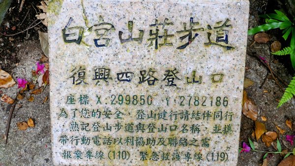 《西江月。竹子湖春》2721778