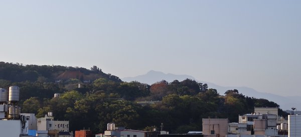 2026/03/18 加里山+大坪山 O型3019996