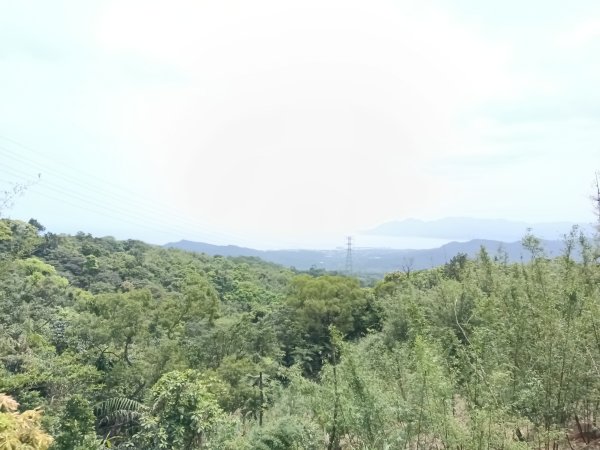 雙溪區三叉港+遠景古道+楊廷理古道+雞母嶺街O型2758684