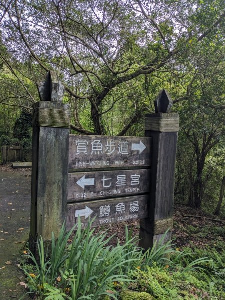 蓬萊溪護魚步道3047366