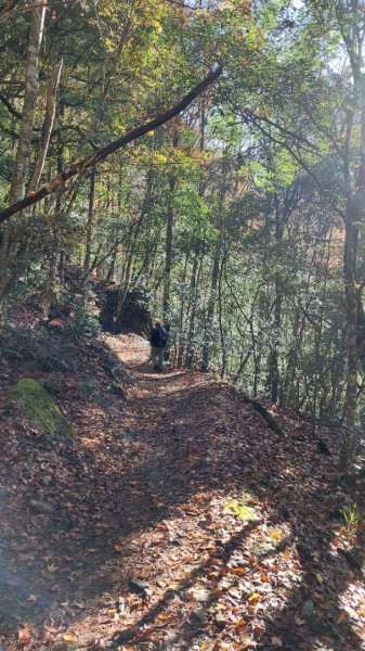 熱血一日霞喀羅賞楓之旅2785003