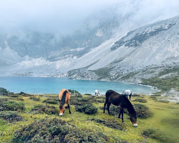 川藏33天深度之旅💙#稻城亞丁-來古冰川2901900