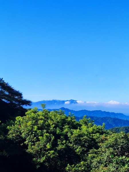 後花園散散步2879344