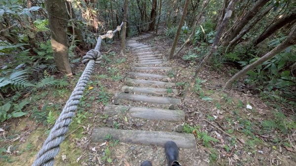114.06.28內平林山-番子坑山-平湖森林遊樂區之O型2824277